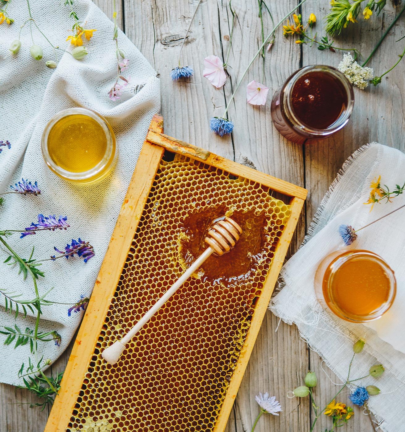 Pour choisir un miel en accord avec ses préférences de saveurs, il est essentiel de comprendre les caractéristiques des terroirs apicoles.