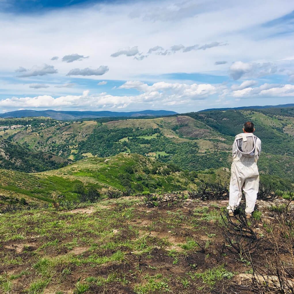 L’impact du terroir sur la qualité du miel